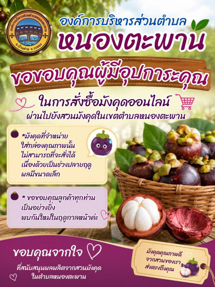 Popup Image 1
