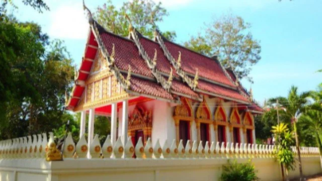 วัดปากป่า  (หลวงพ่อใย ธมฺมสาโร)