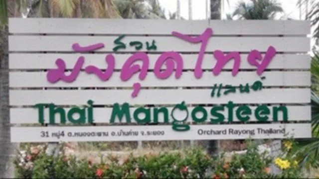 สวนมังคุดไทย (คุณปัญญา)