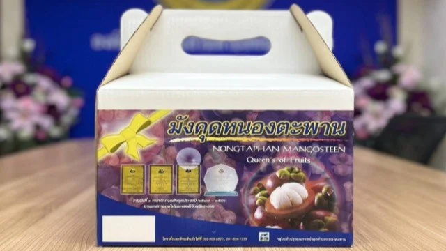 มังคุดเกรด A ของดีหนองตะพาน