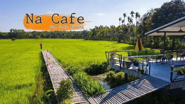 NA CAFE บรรยากาศวิวทุ่งนาสวยๆ