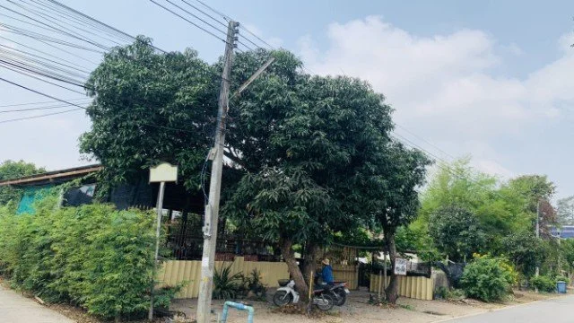 ร้านสะพานบุญ อาหารตามสั่ง หน้าวัดเกาะ