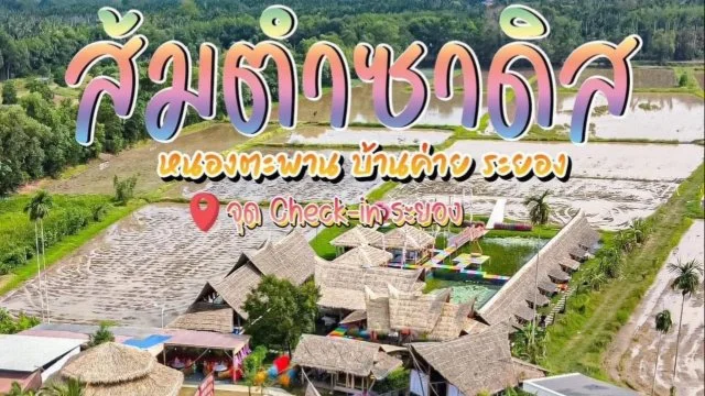 ส้มตำซาดิส หนองตะพาน